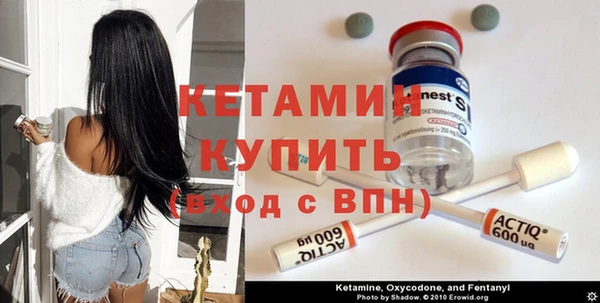 стаф Кулебаки