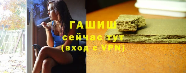 стаф Кулебаки